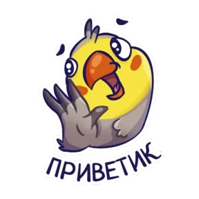 Стикер 15