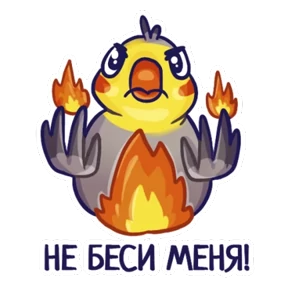 Стикер 17