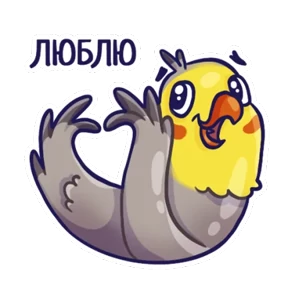 Стикер 21