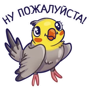 Стикер 24