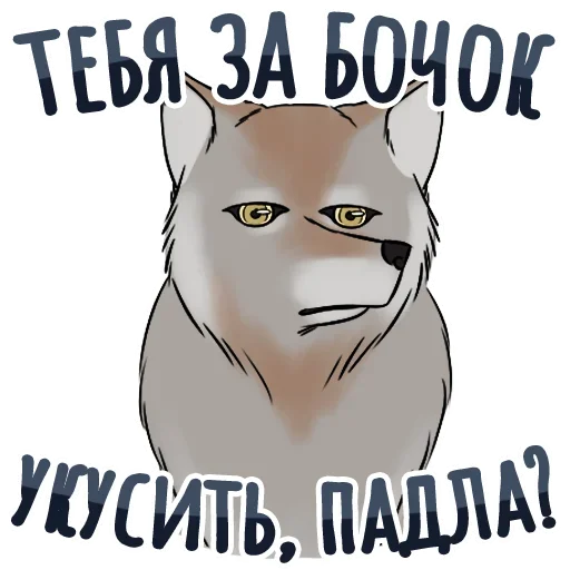 Секспак 6