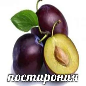 Стикер 14