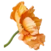 Стикер 13