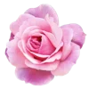 Стикер 24