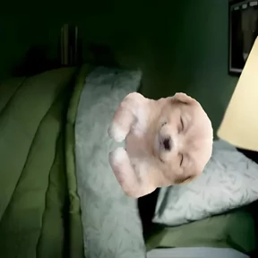 Puppy 5
