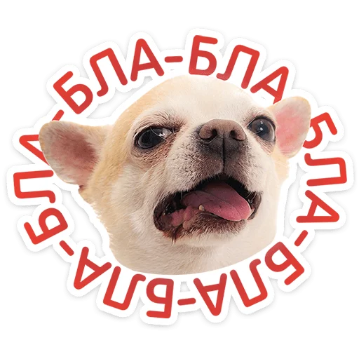 Пёсики