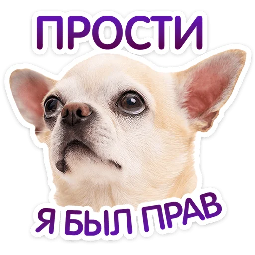 Пёсики 4