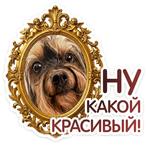 Стикер 8