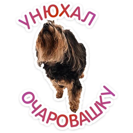 Стикер 12