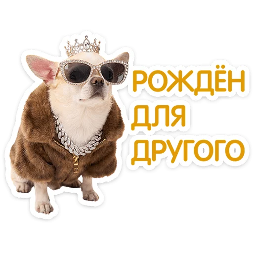 Стикер 13