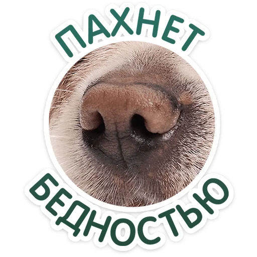 Стикер 14