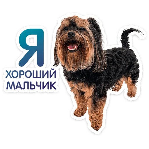 Стикер 15