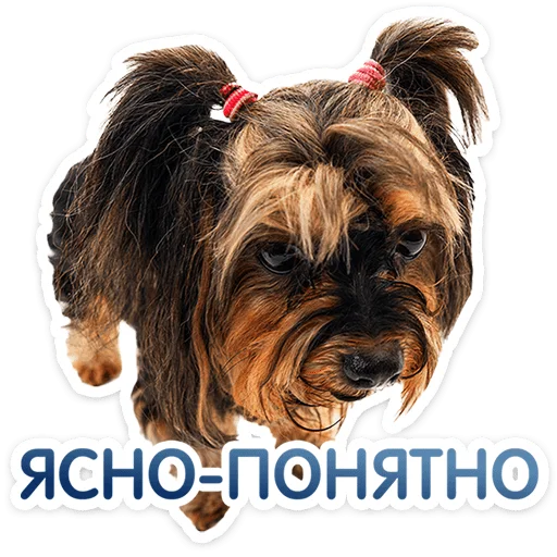 Стикер 17