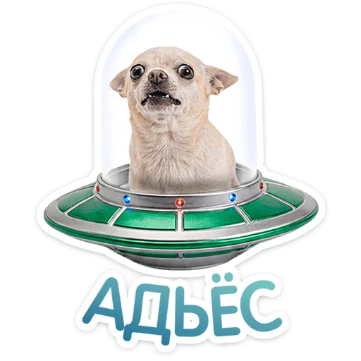 Стикер 23