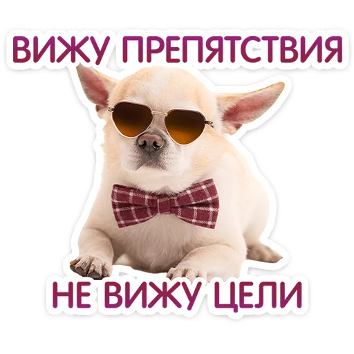 Стикер 24