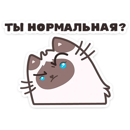 Стикер 13