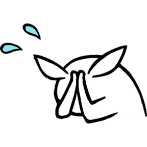 Rabbit 5