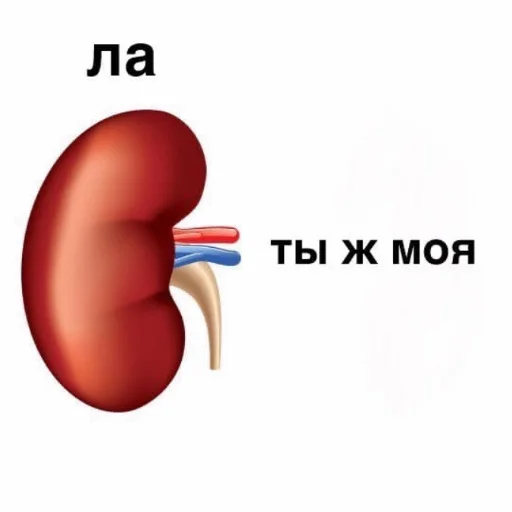 Стикер 8