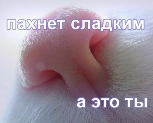 Стикер 12