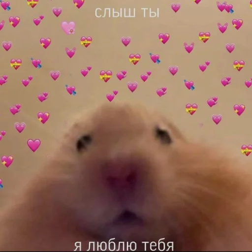 Стикер 13
