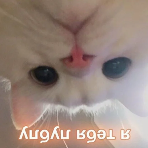Стикер 16