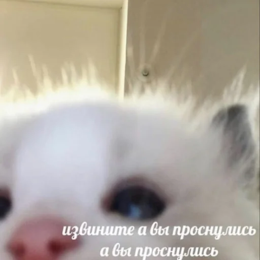 Стикер 22