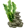 Sea 5