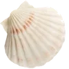 Стикер 11