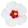 Стикер 18
