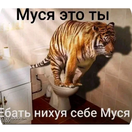 Стикер 22