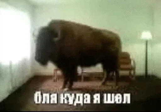 Больше стиков тут 5