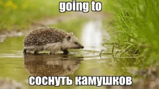 Стикер 16