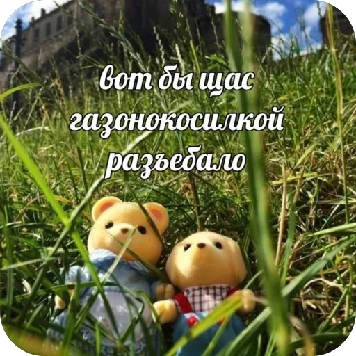 Стикер 14