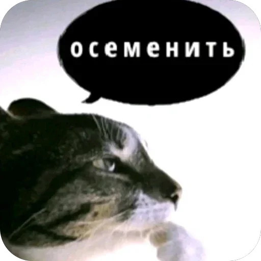 Больше стиков тут 2