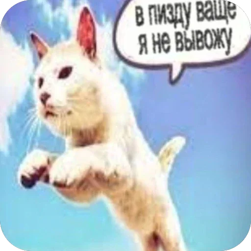 Больше стиков тут 5