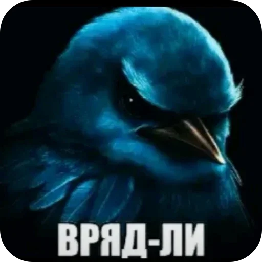 Стикер 13