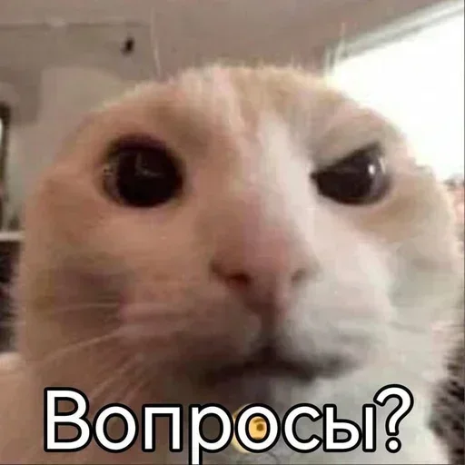Больше стиков тут 1