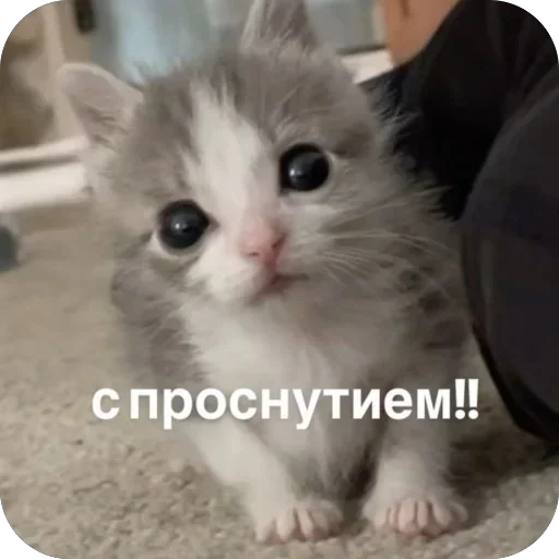 Стикер 12