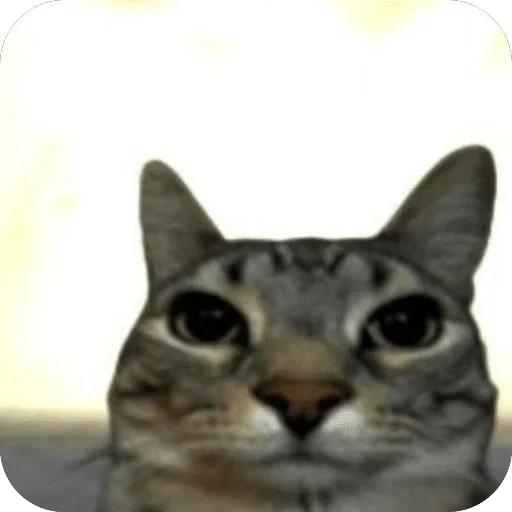 Больше стиков тут 2
