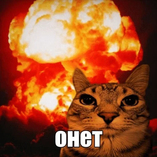 Больше стиков тут 3