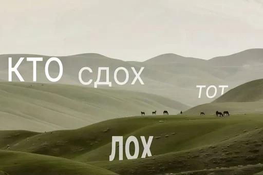 Стикер 23
