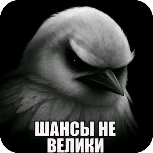 Стикер 24