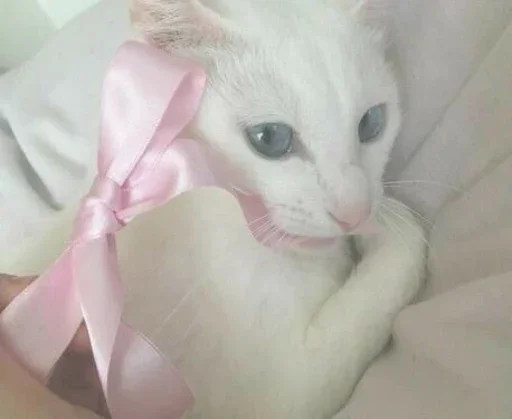 Больше стиков тут 5