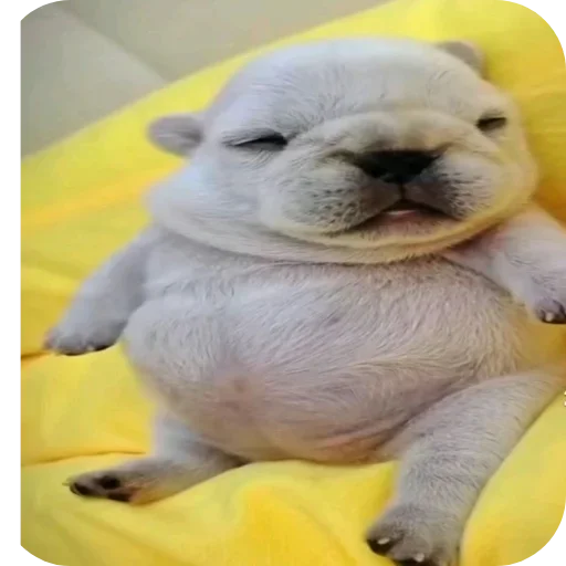 Больше стиков тут 1