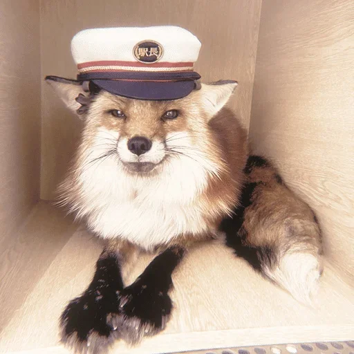 Стикер 15