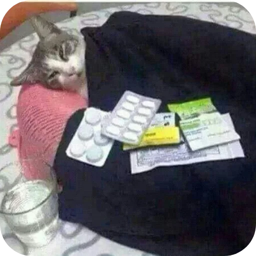 Больше стиков тут 1