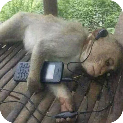 Больше стиков тут 3