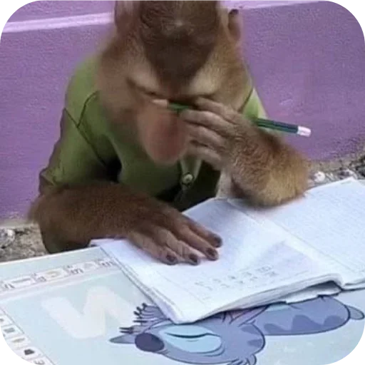 Больше стиков тут 6