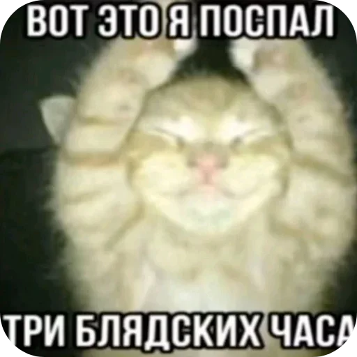Стикер 10