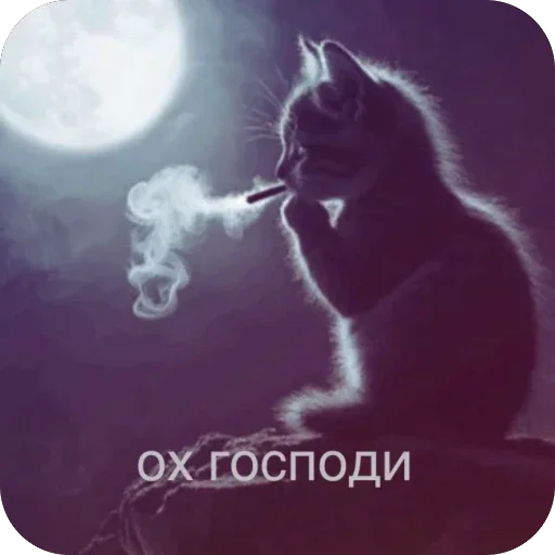 Больше стиков тут 1